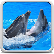 Dolphins Live Wallpaper  Icon