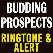 Budding Prospects Theme  Icon