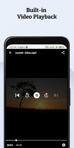 BW Video Downloader 5