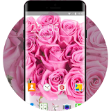 Rose Flower Theme for Alcatel OneTouch Idol 3 icon