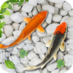 Cover Image of Download Fish Live Wallpaper Aquarium  APK