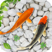 Fish Live Wallpaper 2020: Aquarium Koi Backgrounds