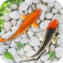Fish Live Wallpaper 2021: Aquarium Koi Backgrounds