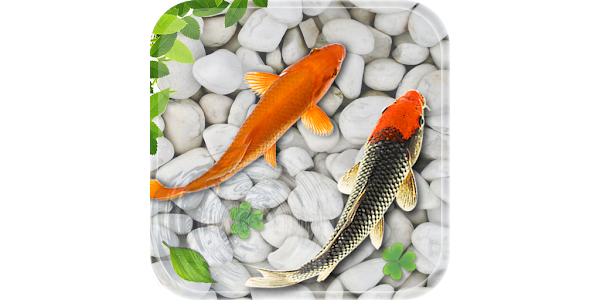 Fish live sale wallpaper