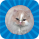 ジャンピング猫 - Androidアプリ