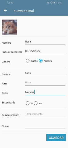 Vista previa de la aplicación