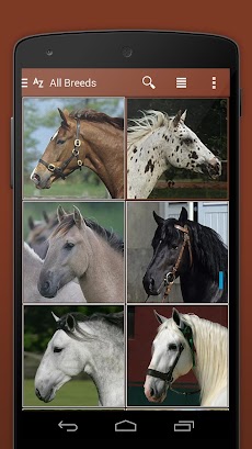 iKnow Horses 2 PROのおすすめ画像4