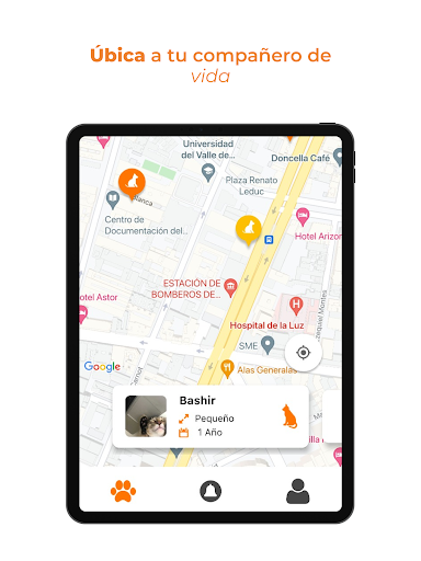 Artic Pet  Adopta animales