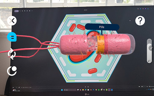 Screenshot 21