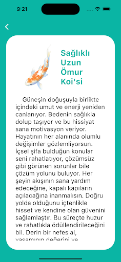 Koi Balığı Falı Screen 3