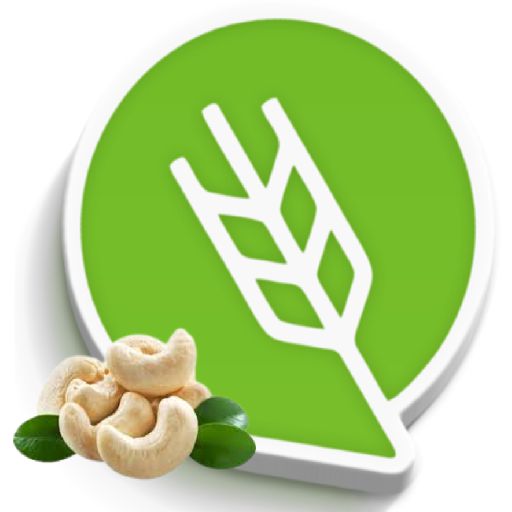 काजू लागवड #Agrownet™ - AppWisp.com