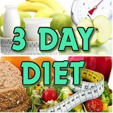 3 Day Diet icon
