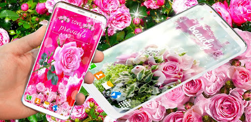 Spring Rose Live Wallpaper cover