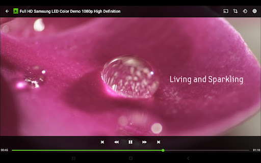 Screenshot of PlayerPro Music Player