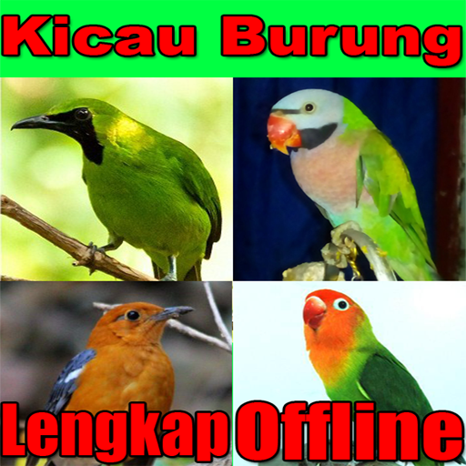 Kicau Aneka Burung Lengkap