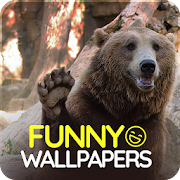 Top 20 Personalization Apps Like Funny wallpapers - Best Alternatives
