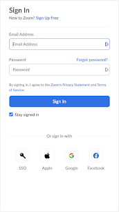 Zoom for Chrome – PWA 2