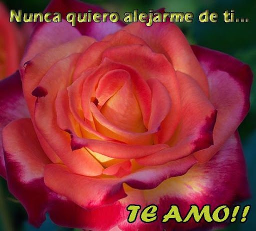Android application Te Amo Amor - Frases screenshort