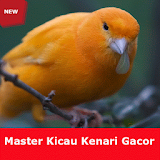 Master Kicau Kenari Gacor Full icon