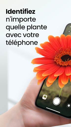 Aperçu de l'application