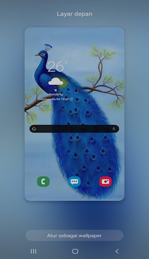 The Best Peacock wallpaper