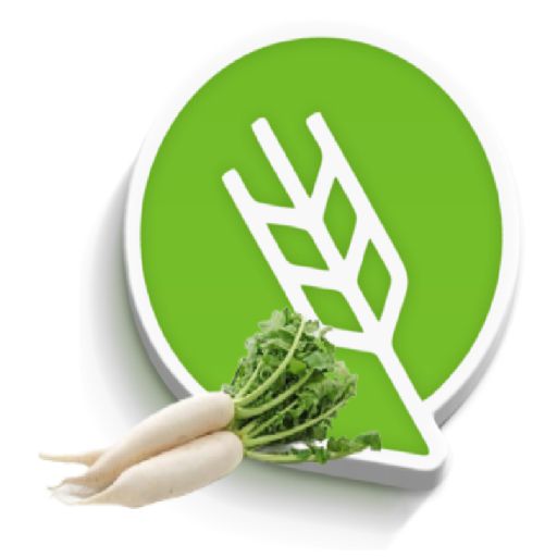 मुळा लागवड #Agrownet™ logo