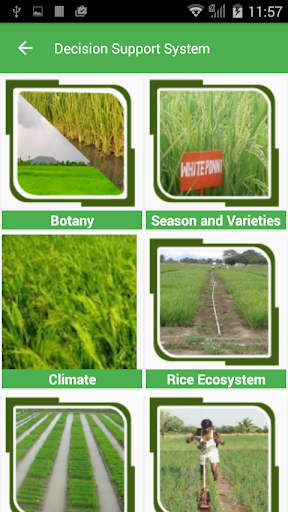 Paddy Expert System Screen 3