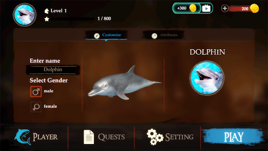 The Dolphin 2