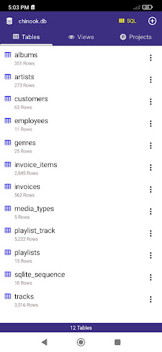Android application Project Runner SQLite screenshort