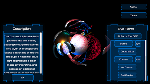 Human Eye - Anatomy Screen 3