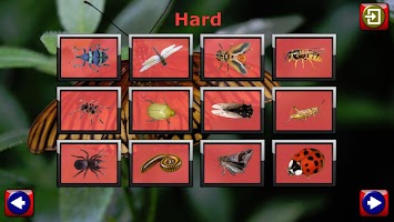 Kids Insect Jigsaw Puzzle