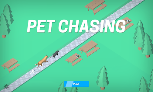 Pet Chasing