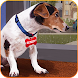 犬の救助ゲーム：ペットシェルター - Androidアプリ