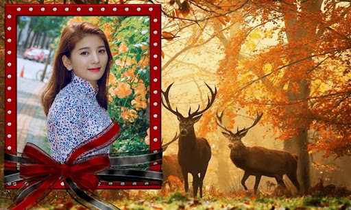 Jungle Photo Frame Screen 3