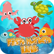 Fish Match Link app icon