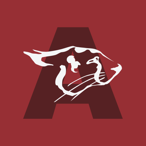 Cheetah Gym Andersonville logo