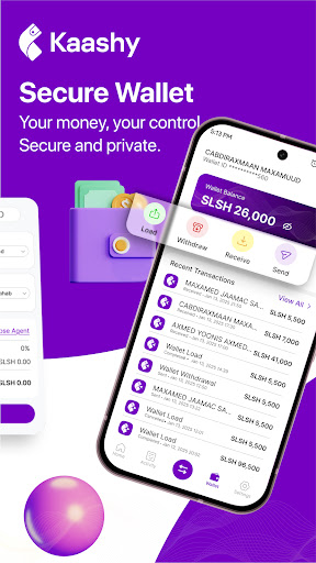 Kaashy Wallet and Money Swap