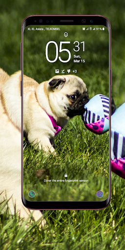 Puppy Wallpaper Screen 3