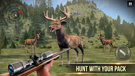 Hunting Master- Animal Hunting