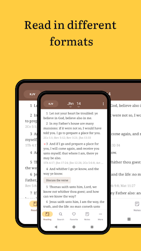 Holy Bible Screenshot 2 - AppWisp.com