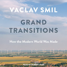 Icon image Grand Transitions: How the Modern World Was Made