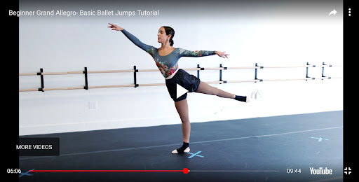 Ballet lessons for beginners Screenshot 3 - AppWisp.com