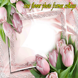 rose flower photo frames collage icon