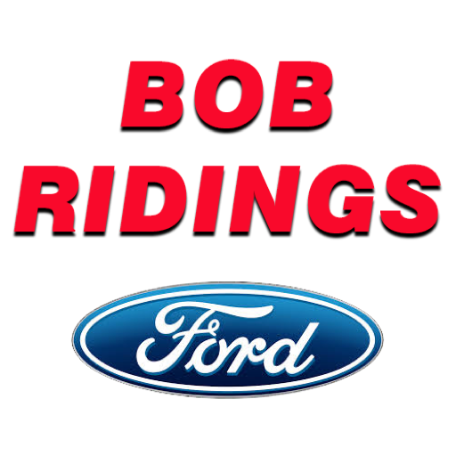 Net Check In - Bob Ridings logo