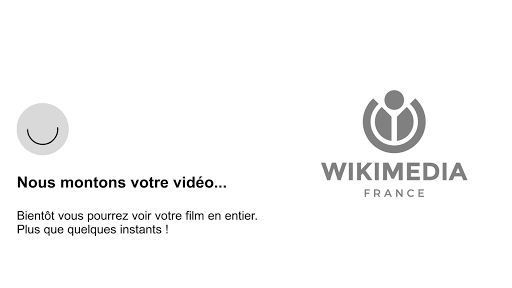 Wikimedia Screen 3