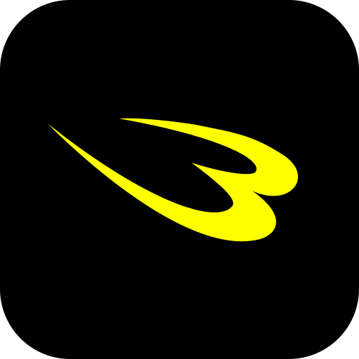 BODYMAKER｜トレーニング・格闘技用品 logo