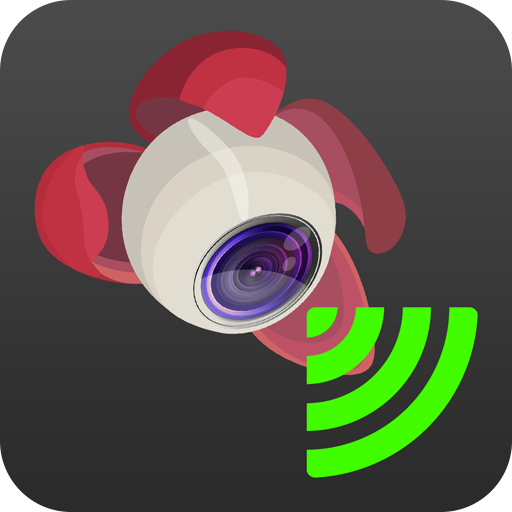 Litchi google cheap play