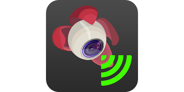 Litchi app spark 2025