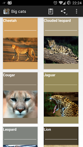 Android application Big cats screenshort