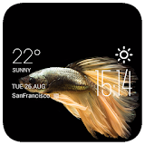 Fish weather widget/clock icon